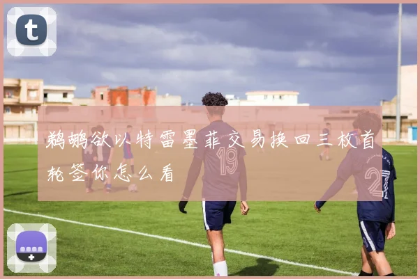鹈鹕欲以特雷墨菲交易换回三枚首轮签你怎么看