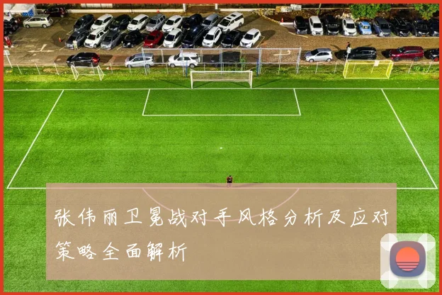 张伟丽卫冕战对手风格分析及应对策略全面解析